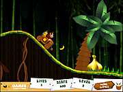 Donkey Kong Jungle R..