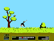 Duck Hunt ...