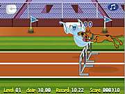 Scooby Doo Hurdle Ra..